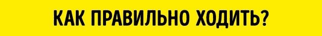 10000 шагов можно ли похудеть если ходить каждый день